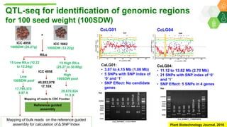 Research Program Genetic Gains (RPGG) Review Meeting 2021: From Discovery to Delivery: A Story of Chickpea By Dr Mahendar Thudi