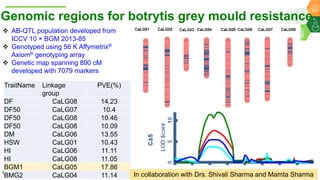 Research Program Genetic Gains (RPGG) Review Meeting 2021: From Discovery to Delivery: A Story of Chickpea By Dr Mahendar Thudi