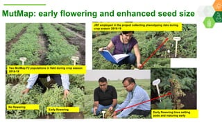 Research Program Genetic Gains (RPGG) Review Meeting 2021: From Discovery to Delivery: A Story of Chickpea By Dr Mahendar Thudi