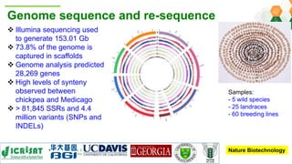 Research Program Genetic Gains (RPGG) Review Meeting 2021: From Discovery to Delivery: A Story of Chickpea By Dr Mahendar Thudi