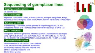 Research Program Genetic Gains (RPGG) Review Meeting 2021: From Discovery to Delivery: A Story of Chickpea By Dr Mahendar Thudi