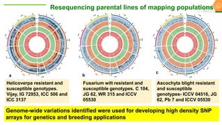 Research Program Genetic Gains (RPGG) Review Meeting 2021: From Discovery to Delivery: A Story of Chickpea By Dr Mahendar Thudi