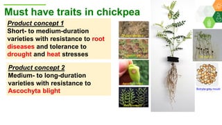 Research Program Genetic Gains (RPGG) Review Meeting 2021: From Discovery to Delivery: A Story of Chickpea By Dr Mahendar Thudi