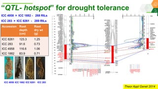 Research Program Genetic Gains (RPGG) Review Meeting 2021: From Discovery to Delivery: A Story of Chickpea By Dr Mahendar Thudi