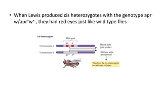 Complementation test