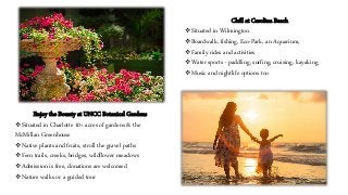 Budget Vacation in North Carolina: Fun & Inexpensive Things to do…