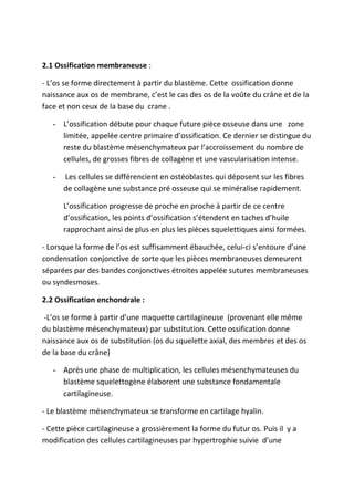 2.1 Ossification membraneuse :
- L’os se forme directement à partir du blastème. Cette ossification donne
naissance aux os de membrane, c’est le cas des os de la voûte du crâne et de la
face et non ceux de la base du crane .
- L’ossification débute pour chaque future pièce osseuse dans une zone
limitée, appelée centre primaire d’ossification. Ce dernier se distingue du
reste du blastème mésenchymateux par l’accroissement du nombre de
cellules, de grosses fibres de collagène et une vascularisation intense.
- Les cellules se différencient en ostéoblastes qui déposent sur les fibres
de collagène une substance pré osseuse qui se minéralise rapidement.
L’ossification progresse de proche en proche à partir de ce centre
d’ossification, les points d’ossification s’étendent en taches d’huile
rapprochant ainsi de plus en plus les pièces squelettiques ainsi formées.
- Lorsque la forme de l’os est suffisamment ébauchée, celui-ci s’entoure d’une
condensation conjonctive de sorte que les pièces membraneuses demeurent
séparées par des bandes conjonctives étroites appelée sutures membraneuses
ou syndesmoses.
2.2 Ossification enchondrale :
-L’os se forme à partir d’une maquette cartilagineuse (provenant elle même
du blastème mésenchymateux) par substitution. Cette ossification donne
naissance aux os de substitution (os du squelette axial, des membres et des os
de la base du crâne)
- Après une phase de multiplication, les cellules mésenchymateuses du
blastème squelettogène élaborent une substance fondamentale
cartilagineuse.
- Le blastème mésenchymateux se transforme en cartilage hyalin.
- Cette pièce cartilagineuse a grossièrement la forme du futur os. Puis il y a
modification des cellules cartilagineuses par hypertrophie suivie d’une
 