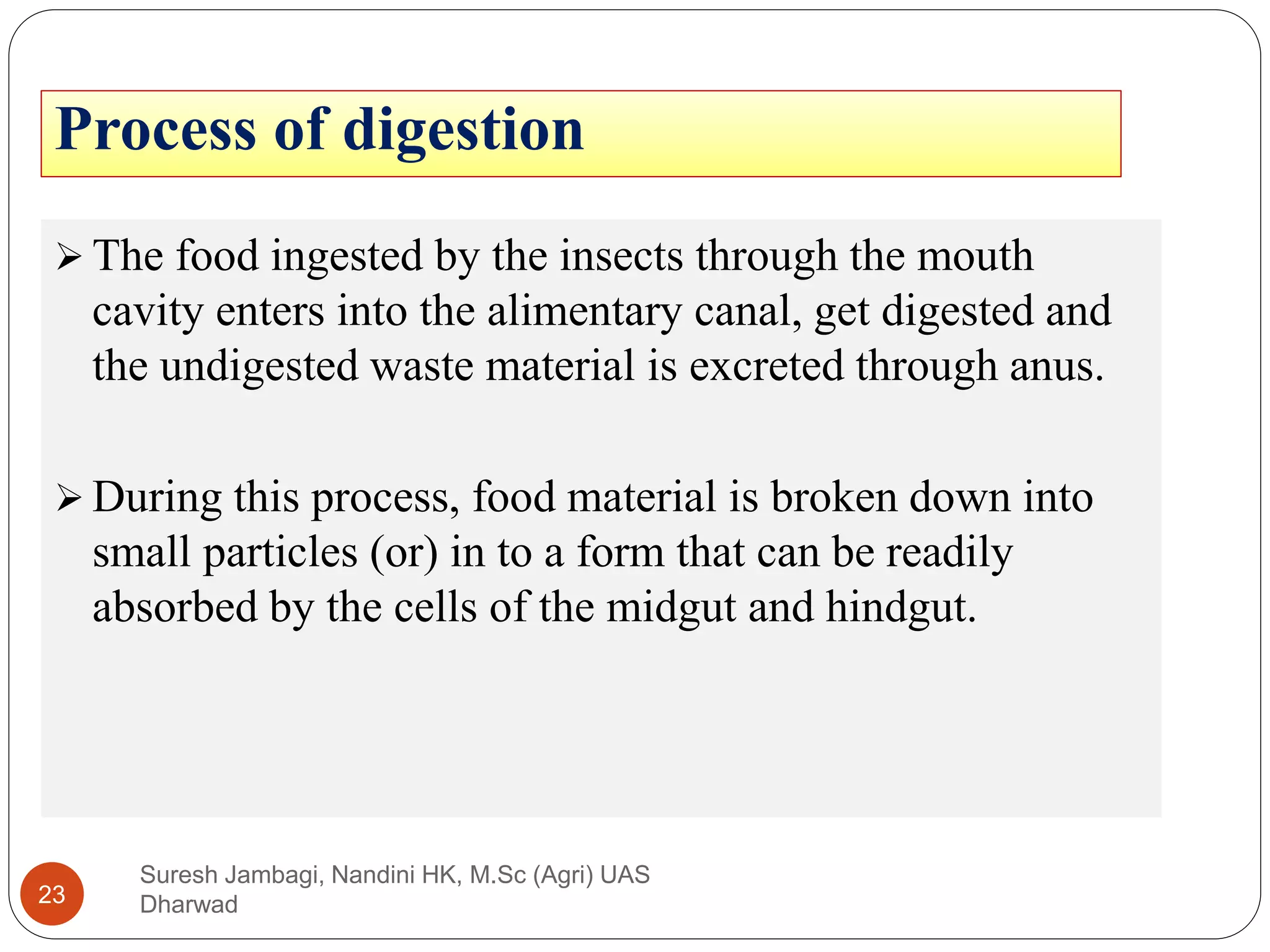 Process of digestion
 The food ingested by the insects through the mouth
cavity enters into the alimentary canal, get digested and
the undigested waste material is excreted through anus.
 During this process, food material is broken down into
small particles (or) in to a form that can be readily
absorbed by the cells of the midgut and hindgut.
Suresh Jambagi, Nandini HK, M.Sc (Agri) UAS
Dharwad
23
 