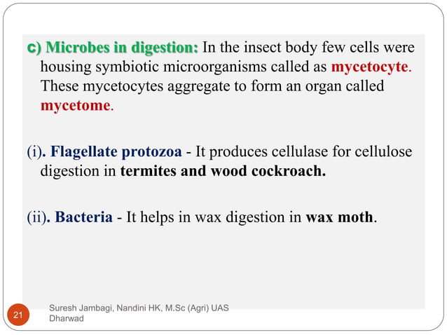 Digestive system in insects | PPTX | Biological Sciences | Science