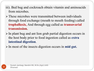 Digestive system in insects | PPTX | Biological Sciences | Science