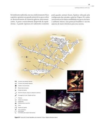 87
GEOPARQUE MORRO DO CHAPÉU (BA)
foi totalmente explorada, mas seu condicionamento físico
e genético apontam um grande potencial no que se refere
ao desenvolvimento de inúmeras galerias intercomuni-
cantes. A gruta é essencialmente desprovida de espele-
otemas. A grande espessura de sedimentos existentes
Figura 39 - Gruta do Cristal (detalhes do interior). Fotos: Mylène Berbert-Born.
pode guardar animais fósseis, hipótese reforçada pela
configuração das entradas e galerias (Figura 39) e pelas
características de relativa estabilidade em que se encontra
o ambiente interno. Esse potencial fossilífero é um dos
aspectos de maior relevância para essa caverna.
 