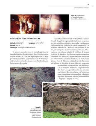 95
GEOPARQUE MORRO DO CHAPÉU (BA)
GEOSSÍTIO N° 22: FAZENDA ARRECIFE
Latitude: 11°06’02”S	 Longitude: 41°01’45”W
Altitude: 630 m
Localização: Município de Várzea Nova
O acesso ao geossítio pode ser efetuado partindo de
Lajes do Batata em direção a Várzea Nova (14,9 km) ou em
sentido inverso (14,2 km). Em seguida percorrer 17,9 km
por estrada secundária. Os principais locais de observação
estão situados nos fundos de duas casas abandonadas, em
lados opostos da estrada.
Figura 54 -
Acima, colônia de
estromatólitos vista
em planta. Ao lado,
vista em corte.
Fotos: Antonio J.
Dourado Rocha.
Figura 53 - Espeleotemas
na Gruta dos Brejões.
Fotos: Mylène Berbert-Born.
De acordo com Srivastava & Rocha (2002a) a fazenda
Arrecife abriga belas exposições de biohermas, compostos
por estromatólitos colunares, associadas a sedimentos
carbonáticos, com evidência de ação de tempestades. Os
bioermas subesféricos a dômicos, com diâmetro de até
5m, são compostos de estromatólitos colunares, bifur-
cados ou com colunas isoladas, de até 80 cm de altura e
de 15 cm de diâmetro. Localmente esses estromatólitos
colunares, não fosfáticos, são encontrados associados
aos estromatólitos colunares fosfáticos, de até 6 cm de
altura e 2 cm de diâmetro, indicando provável controle
microbiano na formação de dois diferentes grupos de
estromatólitos: a) os maiores, não-fosfáticos;
e b) os menores, fosfáticos. Frequentemente
são observados pseudomorfos de minerais
evaporíticos dispersos, tanto em biohermas
como também em estromatólitos colunares,
sugerindo claramente controle paleoambiental
e diagenético (Figuras 54 e 55).
 