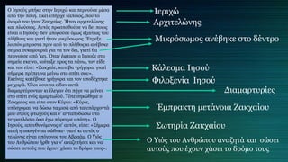 Ο Ιησούς μπήκε στην Ιεριχώ και περνούσε μέσα
από την πόλη. Εκεί υπήρχε κάποιος, που το
όνομά του ήταν Ζακχαίος. Ήταν αρχιτελώνης
και πλούσιος. Αυτός προσπαθούσε να δει ποιος
είναι ο Ιησούς∙ δεν μπορούσε όμως εξαιτίας του
πλήθους και γιατί ήταν μικρόσωμος. Έτρεξε
λοιπόν μπροστά πριν από το πλήθος κι ανέβηκε
σε μια συκομουριά για να τον δει, γιατί θα
περνούσε από ’κει. Όταν έφτασε ο Ιησούς στο
σημείο εκείνο, κοίταξε προς τα πάνω, τον είδε
και του είπε: «Ζακχαίε, κατέβα γρήγορα, γιατί
σήμερα πρέπει να μείνω στο σπίτι σου».
Εκείνος κατέβηκε γρήγορα και τον υποδέχτηκε
με χαρά. Όλοι όσοι τα είδαν αυτά
διαμαρτύρονταν κι έλεγαν ότι πήγε να μείνει
στο σπίτι ενός αμαρτωλού. Τότε σηκώθηκε ο
Ζακχαίος και είπε στον Κύριο: «Κύριε,
υπόσχομαι να δώσω τα μισά από τα υπάρχοντά
μου στους φτωχούς και ν’ ανταποδώσω στο
τετραπλάσιο όσα έχω πάρει με απάτη». Ο
Ιησούς, απευθυνόμενος σ’ αυτόν, είπε: «Σήμερα
αυτή η οικογένεια σώθηκε∙ γιατί κι αυτός ο
τελώνης είναι απόγονος του Αβραάμ. Ο Υιός
του Ανθρώπου ήρθε για ν’ αναζητήσει και να
σώσει αυτούς που έχουν χάσει το δρόμο τους».
Ιεριχώ
Αρχιτελώνης
Μικρόσωμος ανέβηκε στο δέντρο
Κάλεσμα Ιησού
Φιλοξενία Ιησού
Διαμαρτυρίες
Σωτηρία Ζακχαίου
Έμπρακτη μετάνοια Ζακχαίου
Ο Υιός του Ανθρώπου αναζητά και σώσει
αυτούς που έχουν χάσει το δρόμο τους
 