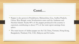 Conti…
• Pepper is also grown in Pondicherry, Maharashtra, Goa, Andhra Pradesh,
Orissa, West Bengal, some Northeastern states and the Andaman and
Nicobar Islands. Nearly 80% of the pepper produced in the country is
exported, contributing to about 37% of the total export earnings from
spices.
• The main buyers of Indian pepper are the US, China, Vietnam, Hong Kong,
Bangladesh, Thailand, UK, UAE, Malaysia and Sri Lanka.
 
