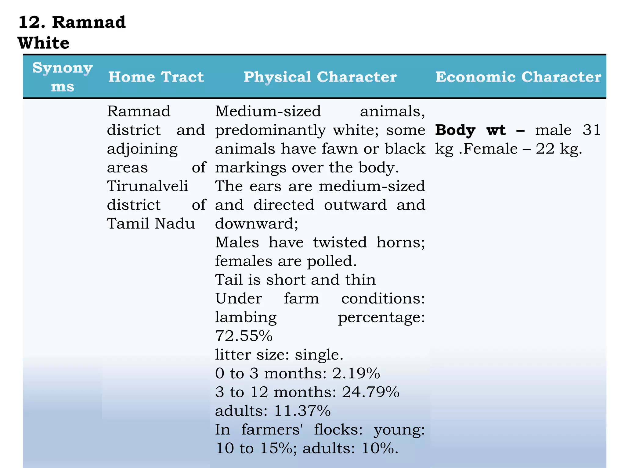 Ramnad
district and
adjoining
areas of
Tirunalveli
district of
Tamil Nadu
Medium-sized animals,
predominantly white; some
animals have fawn or black
markings over the body.
The ears are medium-sized
and directed outward and
downward;
Males have twisted horns;
females are polled.
Tail is short and thin
Under farm conditions:
lambing percentage:
72.55%
litter size: single.
0 to 3 months: 2.19%
3 to 12 months: 24.79%
adults: 11.37%
In farmers' flocks: young:
10 to 15%; adults: 10%.
Body wt – male 31
kg .Female – 22 kg.
12. Ramnad
White
 