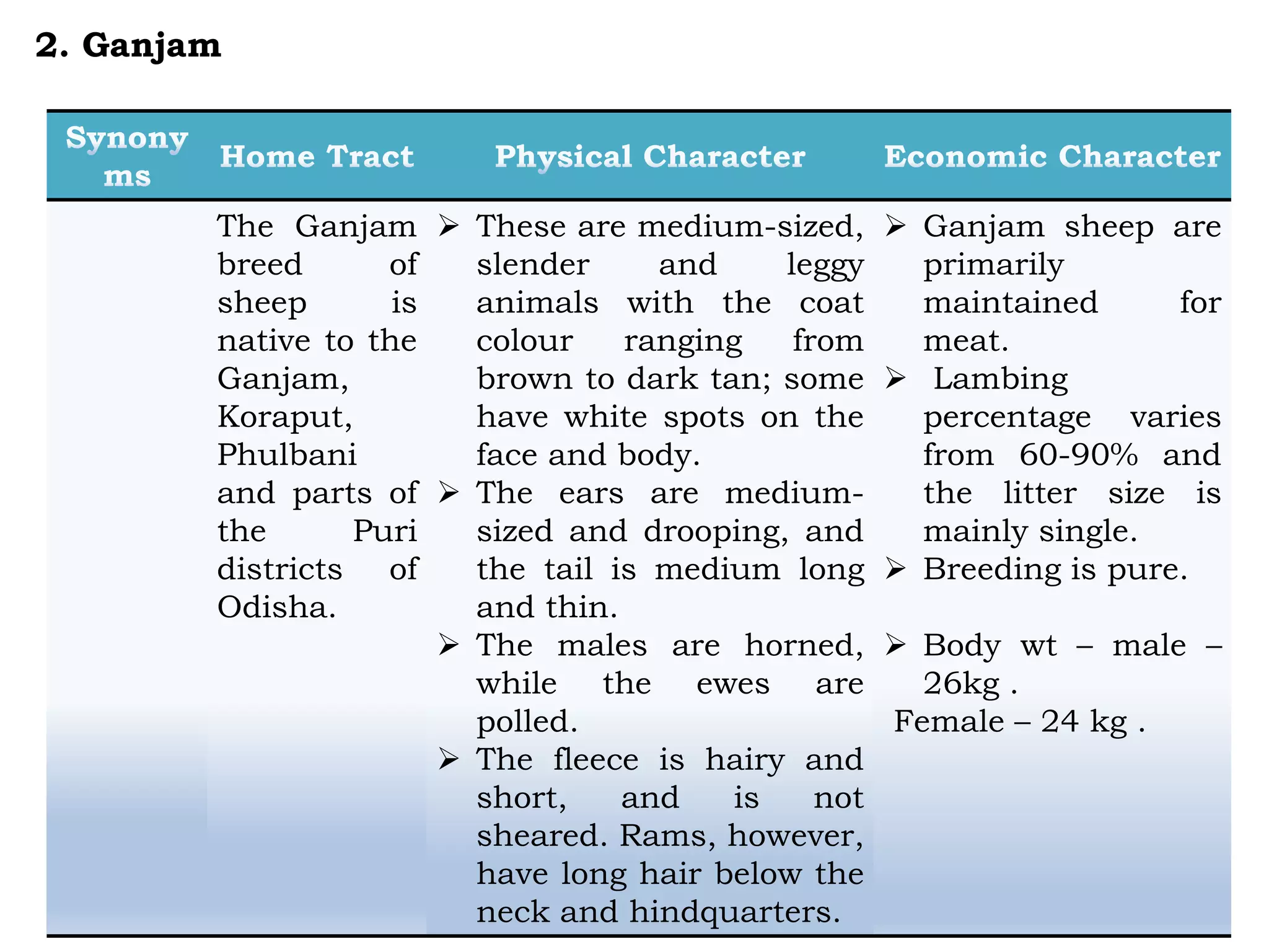 The Ganjam
breed of
sheep is
native to the
Ganjam,
Koraput,
Phulbani
and parts of
the Puri
districts of
Odisha.
 These are medium-sized,
slender and leggy
animals with the coat
colour ranging from
brown to dark tan; some
have white spots on the
face and body.
 The ears are medium-
sized and drooping, and
the tail is medium long
and thin.
 The males are horned,
while the ewes are
polled.
 The fleece is hairy and
short, and is not
sheared. Rams, however,
have long hair below the
neck and hindquarters.
 Ganjam sheep are
primarily
maintained for
meat.
 Lambing
percentage varies
from 60-90% and
the litter size is
mainly single.
 Breeding is pure.
 Body wt – male –
26kg .
Female – 24 kg .
2. Ganjam
 