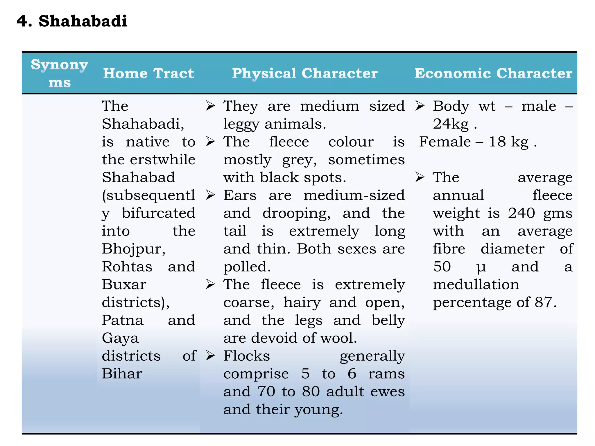 The
Shahabadi,
is native to
the erstwhile
Shahabad
(subsequentl
y bifurcated
into the
Bhojpur,
Rohtas and
Buxar
districts),
Patna and
Gaya
districts of
Bihar
 They are medium sized
leggy animals.
 The fleece colour is
mostly grey, sometimes
with black spots.
 Ears are medium-sized
and drooping, and the
tail is extremely long
and thin. Both sexes are
polled.
 The fleece is extremely
coarse, hairy and open,
and the legs and belly
are devoid of wool.
 Flocks generally
comprise 5 to 6 rams
and 70 to 80 adult ewes
and their young.
 Body wt – male –
24kg .
Female – 18 kg .
 The average
annual fleece
weight is 240 gms
with an average
fibre diameter of
50 μ and a
medullation
percentage of 87.
4. Shahabadi
 