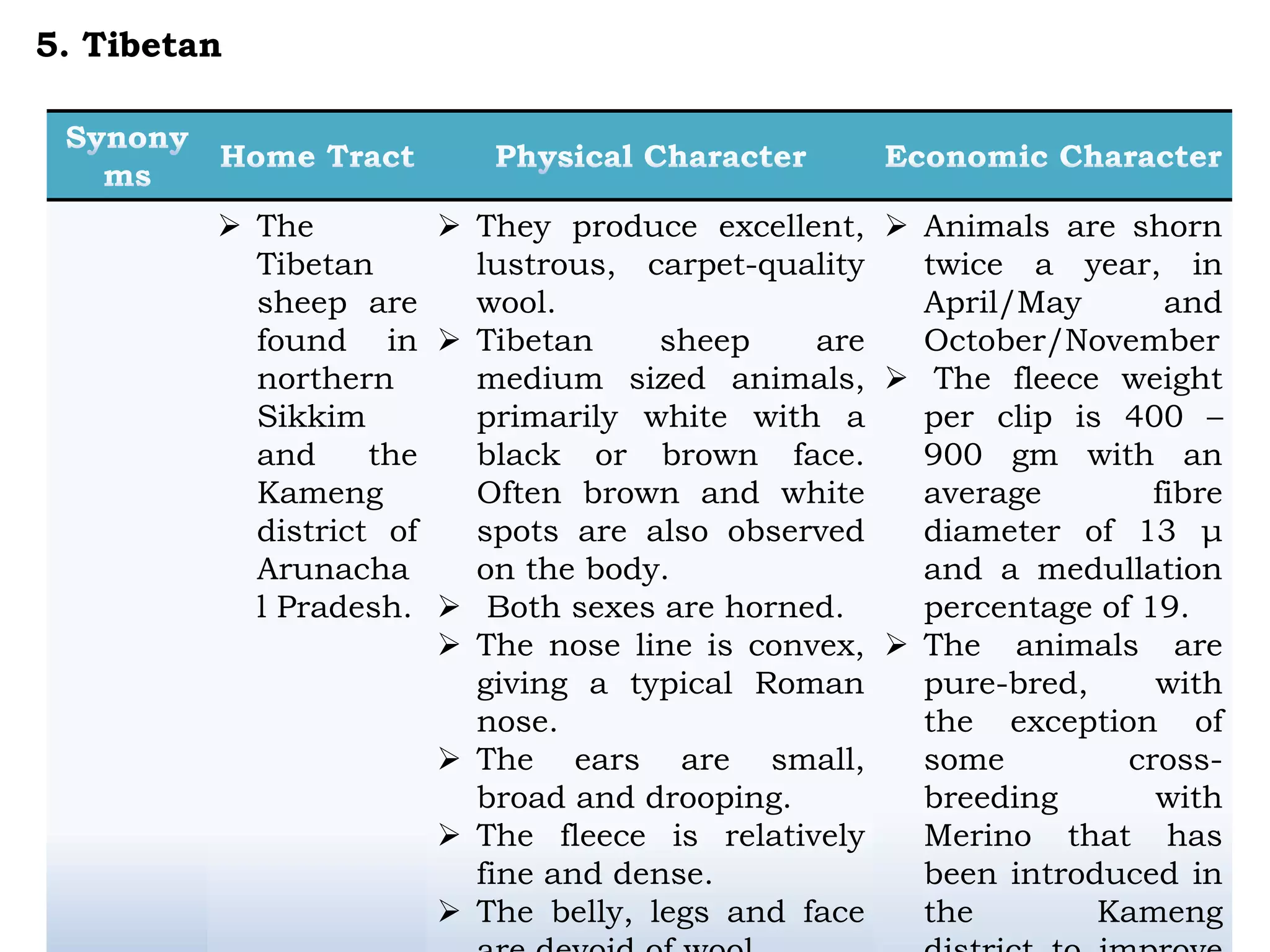  The
Tibetan
sheep are
found in
northern
Sikkim
and the
Kameng
district of
Arunacha
l Pradesh.
 They produce excellent,
lustrous, carpet-quality
wool.
 Tibetan sheep are
medium sized animals,
primarily white with a
black or brown face.
Often brown and white
spots are also observed
on the body.
 Both sexes are horned.
 The nose line is convex,
giving a typical Roman
nose.
 The ears are small,
broad and drooping.
 The fleece is relatively
fine and dense.
 The belly, legs and face
 Animals are shorn
twice a year, in
April/May and
October/November
 The fleece weight
per clip is 400 –
900 gm with an
average fibre
diameter of 13 μ
and a medullation
percentage of 19.
 The animals are
pure-bred, with
the exception of
some cross-
breeding with
Merino that has
been introduced in
the Kameng
5. Tibetan
 