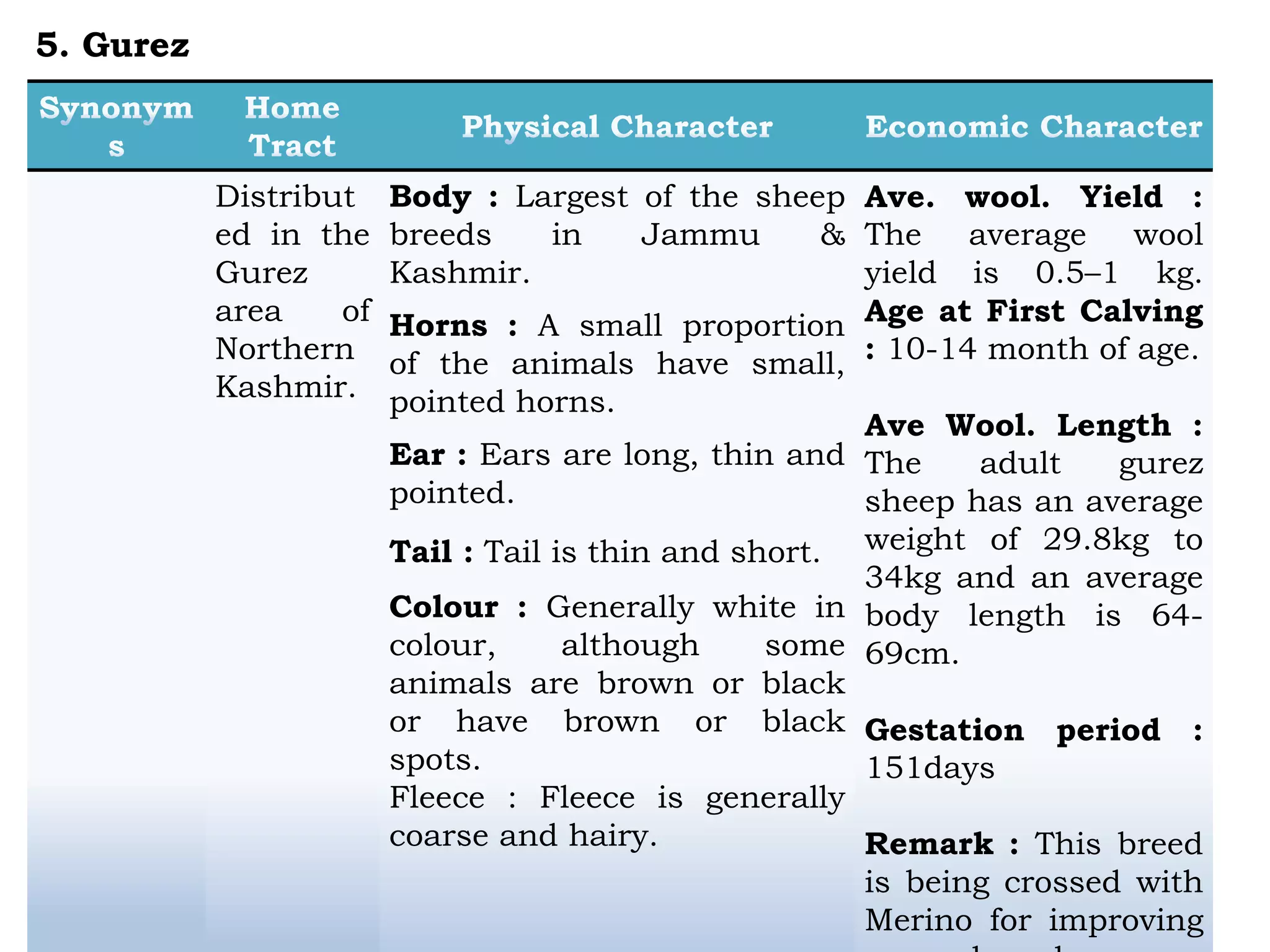 Distribut
ed in the
Gurez
area of
Northern
Kashmir.
Body : Largest of the sheep
breeds in Jammu &
Kashmir.
Horns : A small proportion
of the animals have small,
pointed horns.
Ear : Ears are long, thin and
pointed.
Tail : Tail is thin and short.
Colour : Generally white in
colour, although some
animals are brown or black
or have brown or black
spots.
Fleece : Fleece is generally
coarse and hairy.
Ave. wool. Yield :
The average wool
yield is 0.5–1 kg.
Age at First Calving
: 10-14 month of age.
Ave Wool. Length :
The adult gurez
sheep has an average
weight of 29.8kg to
34kg and an average
body length is 64-
69cm.
Gestation period :
151days
Remark : This breed
is being crossed with
Merino for improving
5. Gurez
 