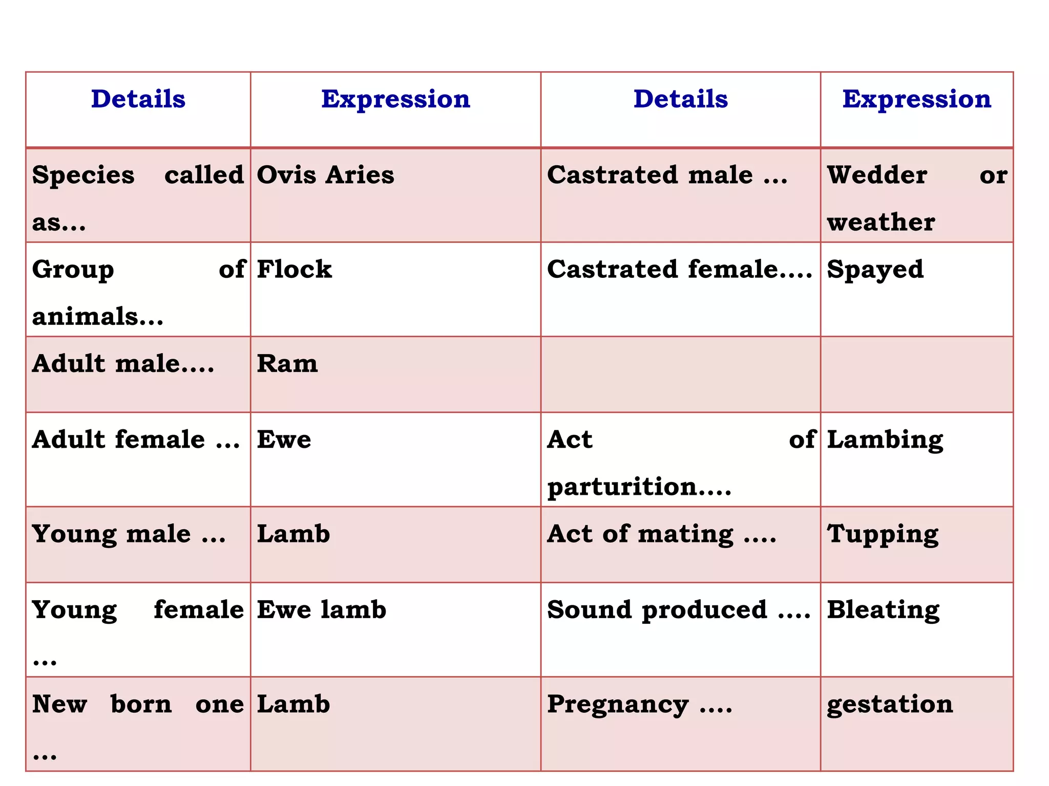 Details Expression Details Expression
Species called
as…
Ovis Aries Castrated male … Wedder or
weather
Group of
animals…
Flock Castrated female…. Spayed
Adult male…. Ram
Adult female … Ewe Act of
parturition….
Lambing
Young male … Lamb Act of mating …. Tupping
Young female
…
Ewe lamb Sound produced …. Bleating
New born one
…
Lamb Pregnancy …. gestation
 
