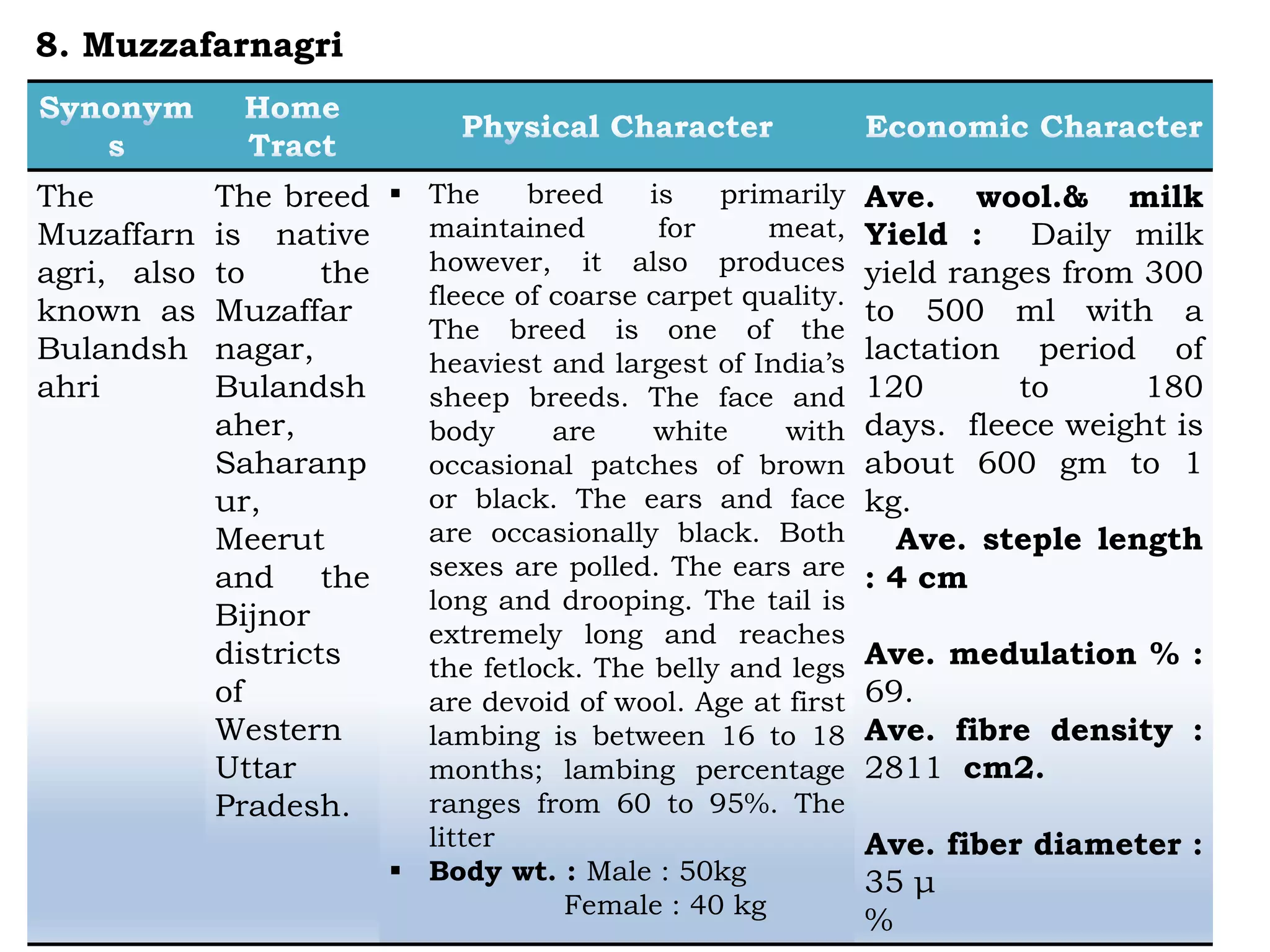 The
Muzaffarn
agri, also
known as
Bulandsh
ahri
The breed
is native
to the
Muzaffar
nagar,
Bulandsh
aher,
Saharanp
ur,
Meerut
and the
Bijnor
districts
of
Western
Uttar
Pradesh.
 The breed is primarily
maintained for meat,
however, it also produces
fleece of coarse carpet quality.
The breed is one of the
heaviest and largest of India’s
sheep breeds. The face and
body are white with
occasional patches of brown
or black. The ears and face
are occasionally black. Both
sexes are polled. The ears are
long and drooping. The tail is
extremely long and reaches
the fetlock. The belly and legs
are devoid of wool. Age at first
lambing is between 16 to 18
months; lambing percentage
ranges from 60 to 95%. The
litter
 Body wt. : Male : 50kg
Female : 40 kg
Ave. wool.& milk
Yield : Daily milk
yield ranges from 300
to 500 ml with a
lactation period of
120 to 180
days. fleece weight is
about 600 gm to 1
kg.
Ave. steple length
: 4 cm
Ave. medulation % :
69.
Ave. fibre density :
2811 cm2.
Ave. fiber diameter :
35 μ
%
8. Muzzafarnagri
 