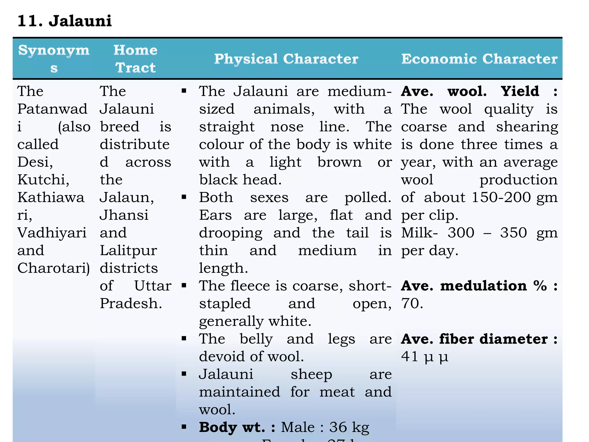 The
Patanwad
i (also
called
Desi,
Kutchi,
Kathiawa
ri,
Vadhiyari
and
Charotari)
The
Jalauni
breed is
distribute
d across
the
Jalaun,
Jhansi
and
Lalitpur
districts
of Uttar
Pradesh.
 The Jalauni are medium-
sized animals, with a
straight nose line. The
colour of the body is white
with a light brown or
black head.
 Both sexes are polled.
Ears are large, flat and
drooping and the tail is
thin and medium in
length.
 The fleece is coarse, short-
stapled and open,
generally white.
 The belly and legs are
devoid of wool.
 Jalauni sheep are
maintained for meat and
wool.
 Body wt. : Male : 36 kg
Ave. wool. Yield :
The wool quality is
coarse and shearing
is done three times a
year, with an average
wool production
of about 150-200 gm
per clip.
Milk- 300 – 350 gm
per day.
Ave. medulation % :
70.
Ave. fiber diameter :
41 μ μ
11. Jalauni
 