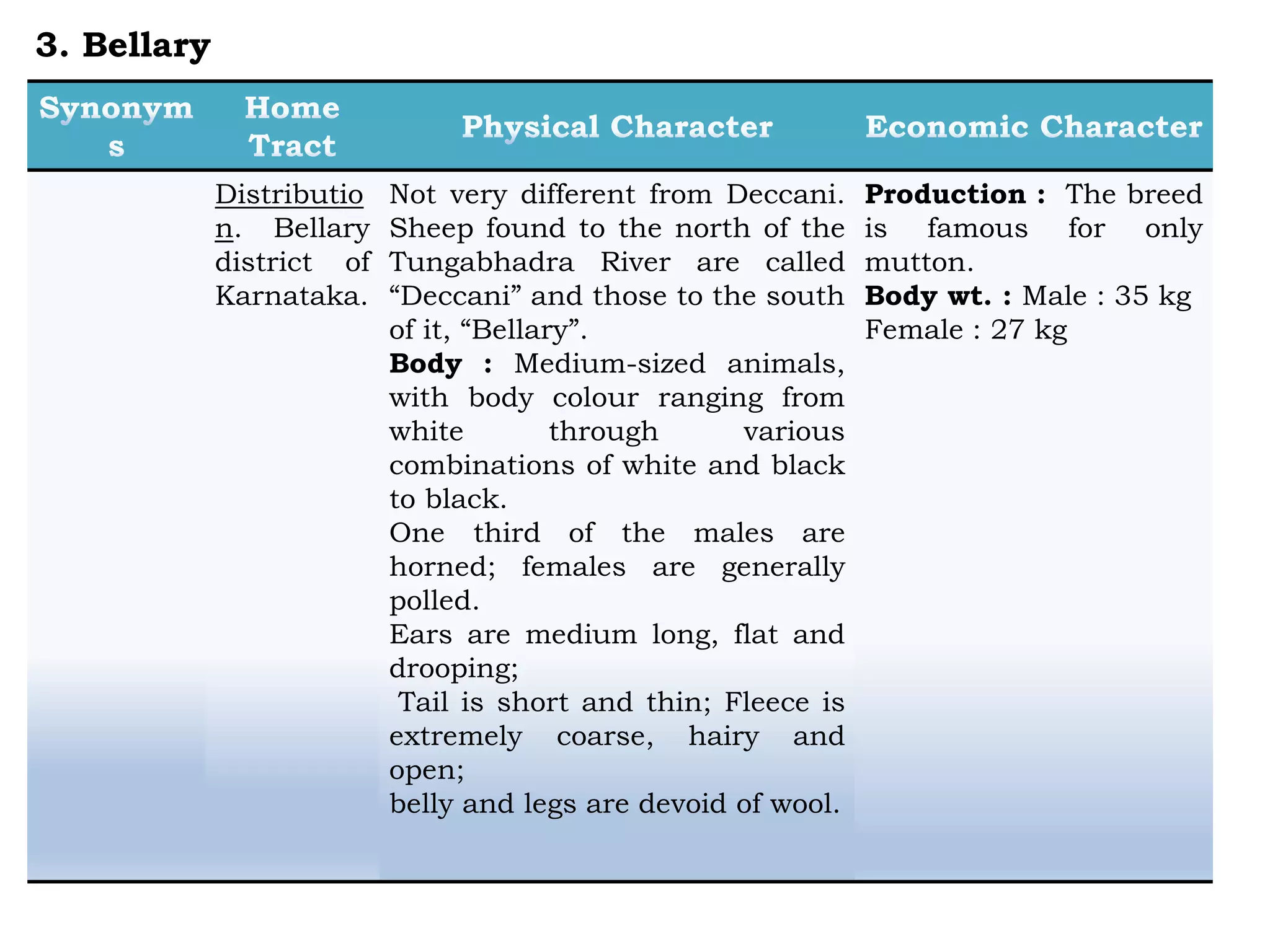 Distributio
n. Bellary
district of
Karnataka.
Not very different from Deccani.
Sheep found to the north of the
Tungabhadra River are called
“Deccani” and those to the south
of it, “Bellary”.
Body : Medium-sized animals,
with body colour ranging from
white through various
combinations of white and black
to black.
One third of the males are
horned; females are generally
polled.
Ears are medium long, flat and
drooping;
Tail is short and thin; Fleece is
extremely coarse, hairy and
open;
belly and legs are devoid of wool.
Production : The breed
is famous for only
mutton.
Body wt. : Male : 35 kg
Female : 27 kg
3. Bellary
 