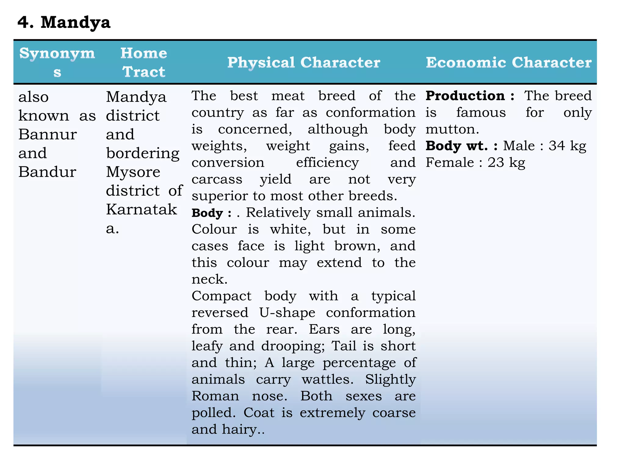 also
known as
Bannur
and
Bandur
Mandya
district
and
bordering
Mysore
district of
Karnatak
a.
The best meat breed of the
country as far as conformation
is concerned, although body
weights, weight gains, feed
conversion efficiency and
carcass yield are not very
superior to most other breeds.
Body : . Relatively small animals.
Colour is white, but in some
cases face is light brown, and
this colour may extend to the
neck.
Compact body with a typical
reversed U-shape conformation
from the rear. Ears are long,
leafy and drooping; Tail is short
and thin; A large percentage of
animals carry wattles. Slightly
Roman nose. Both sexes are
polled. Coat is extremely coarse
and hairy..
Production : The breed
is famous for only
mutton.
Body wt. : Male : 34 kg
Female : 23 kg
4. Mandya
 
