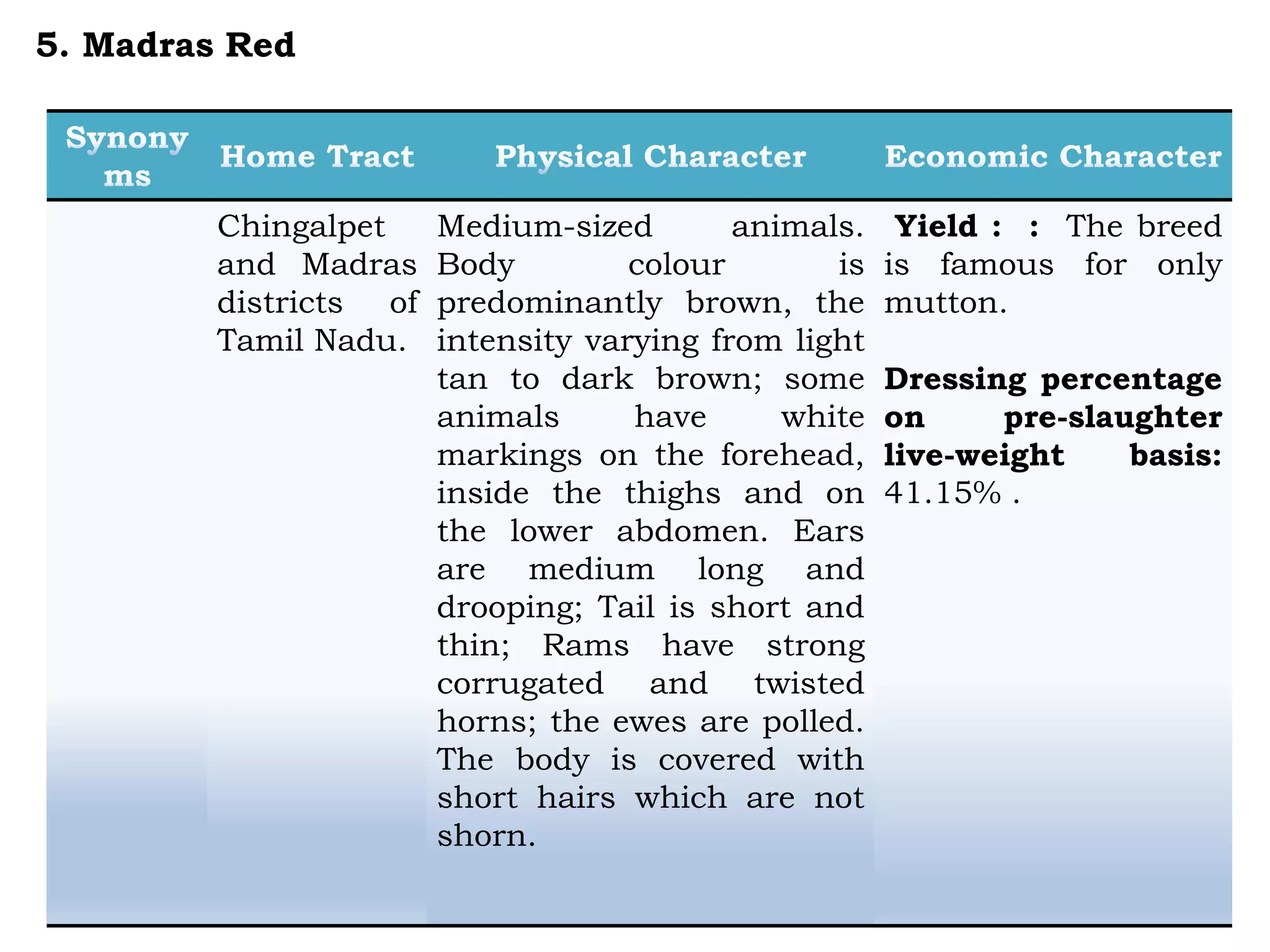 Chingalpet
and Madras
districts of
Tamil Nadu.
Medium-sized animals.
Body colour is
predominantly brown, the
intensity varying from light
tan to dark brown; some
animals have white
markings on the forehead,
inside the thighs and on
the lower abdomen. Ears
are medium long and
drooping; Tail is short and
thin; Rams have strong
corrugated and twisted
horns; the ewes are polled.
The body is covered with
short hairs which are not
shorn.
Yield : : The breed
is famous for only
mutton.
Dressing percentage
on pre-slaughter
live-weight basis:
41.15% .
5. Madras Red
 