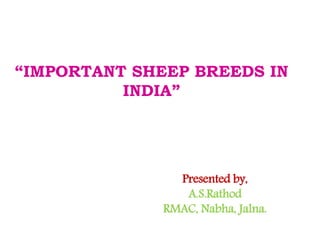 “IMPORTANT SHEEP BREEDS IN
INDIA”
Presented by,
A.S.Rathod
RMAC, Nabha, Jalna.
 