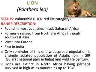 LION
(Panthera leo)
STATUS: Vulnerable (IUCN red list category)
RANGE DESCRIPTION:
• Found in most countries in sub Saharan Africa
• Formerly ranged from Northern Africa through
southwest Asia
• West into Europe
• East in India
o Only reminder of this one widespread population is
a single isolated population of Asiatic lion in GIR
(Gujarat national park in India) and wild life century.
o Lions are extinct in North Africa having perhaps
survived in high Atlas mountains up to 1940.
 