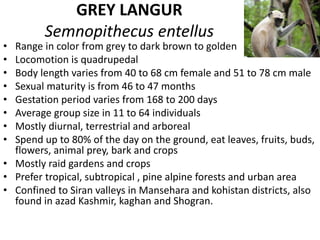 animals distribution | PPTX