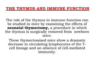 Organs of immune system | PPT