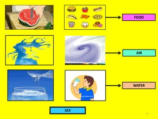 11
FOOD
AIR
WATER
SEX
 