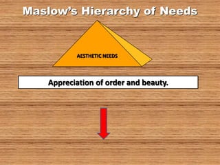 Maslow’s Hierarchy of Needs
AESTHETIC NEEDS
Appreciation of order and beauty.
 