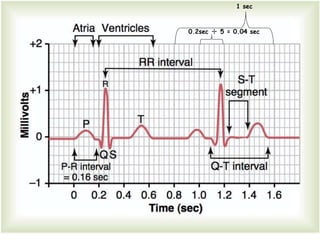 0.2sec ÷ 5 = 0.04 sec
1 sec
 