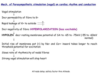 Mech. of Parasympathetic stimulation (vagal) on cardiac rhythm and conduction
Vagal stimulation
Incr permeability of fibre to K+
Rapid leakage of K+ to outside
Incr negativity of fibre: HYPERPOLARIZATION (less excitable)
HYPOLZN decr resting membrane potential of SA to -65 to -75mV (-55 to -60mV
normal)
Initial rise of membrane pot (+) by Na+ and Ca++ inward takes longer to reach
threshold potential for excitation
Slows rate of rhythmicity of nodal fibres
Strong vagal stimulation will stop heart
AV node delay: safety factor thro AVnode
 