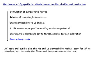 Mechanism of Sympathetic stimulation on cardiac rhythm and conduction
Stimulation of sympathetic nerves
Release of norepinephrine at ends
Incrs permeability to Ca and Na
At SA causes more positive resting membrane potential
Incr diastolic membrane pot to threshold level for self excitation
Incr in heart rate
AV node and bundle also the Na and Ca permeability makes easy for AP to
travel and excite conduction fibres and decreases conduction time
 