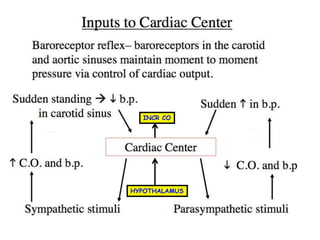 HYPOTHALAMUS
INCR CO
 