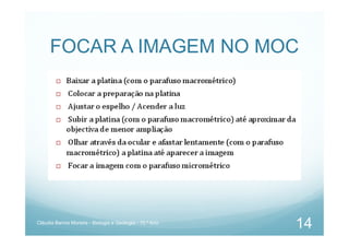 FOCAR A IMAGEM NO MOC
Cláudia Barros Moreira - Biologia e Geologia - 10.º Ano
14
 