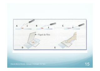 Cláudia Barros Moreira - Biologia e Geologia - 10.º Ano
15
 