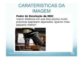CARATERISTICAS DA
IMAGEM
Cláudia Barros Moreira - Biologia e Geologia - 10.º Ano
16
 