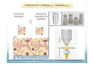 Cláudia Barros Moreira - Biologia e Geologia - 10.º Ano
17
 