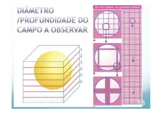 Cláudia Barros Moreira - Biologia e Geologia - 10.º Ano
18
 