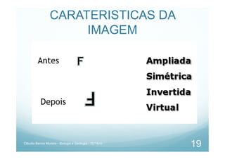 CARATERISTICAS DA
IMAGEM
Cláudia Barros Moreira - Biologia e Geologia - 10.º Ano
19
 