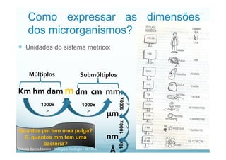 Como expressar as dimensões
dos microrganismos?
 Unidades do sistema métrico:
Múltiplos Submúltiplos
m
Km hm dam dm cm mm
1000x

1000x

µm
nm
Å
1000x

1000x

10x

Quantos µm tem uma pulga?
E, quantos mm tem uma
bactéria?
Cláudia Barros Moreira - Biologia e Geologia - 10.º Ano
20
 