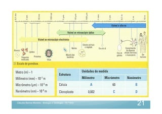Cláudia Barros Moreira - Biologia e Geologia - 10.º Ano
21
 