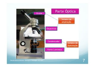 Cláudia Barros Moreira - Biologia e Geologia - 10.º Ano
7
 