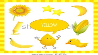 YELLOW
 