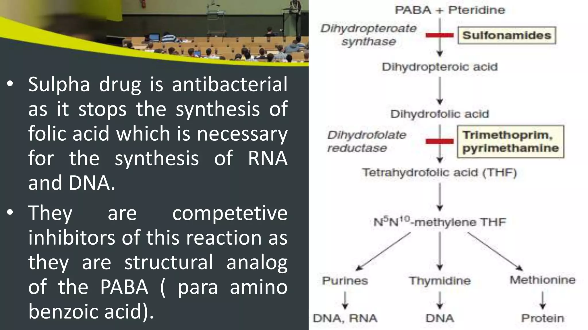 Enzyme inhibition Competitive, Non Competitive,